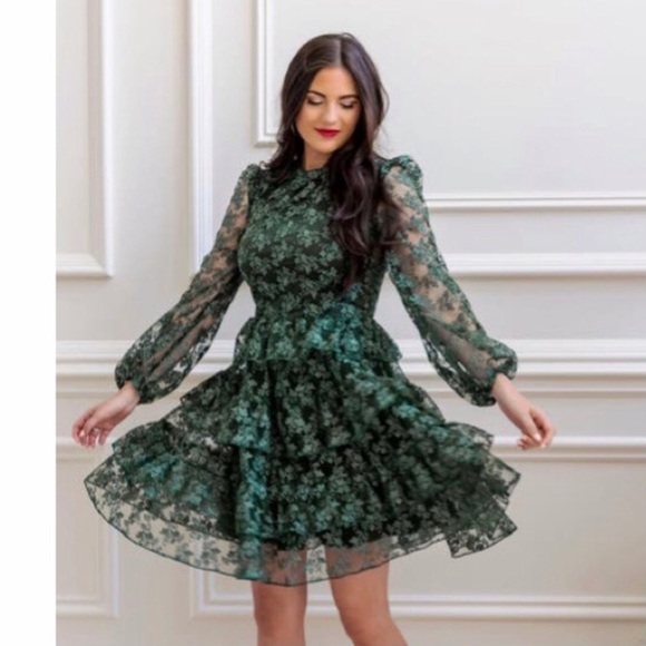 ISO Rachel Parcell Metallic Embroidered Long Sleeve Dress Floral Green - Picture 1 of 4